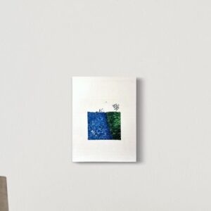 Lake Okeechobee fishing