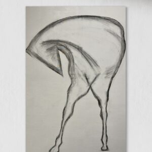 Echoes of Equine Elegance